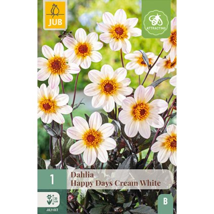 Jiřina HAPPY DAYS CREAM WHITE 1X