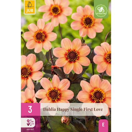 Jiřina HAPPY SINGLE FIRST LOVE 3 ks