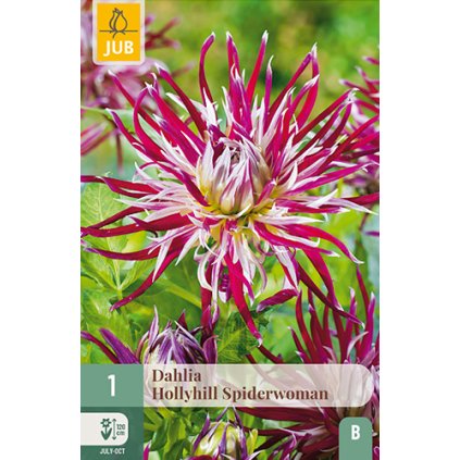 Jiřina HOLLYHILL SPIDERWOMAN 1X