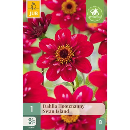 Jiřina HOOTENANNY-SWAN ISLAND 1X