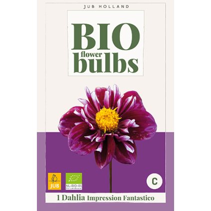 Jiřina IMPRESSION FANTASTICO 1X