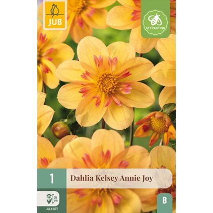 Jiřina KELSEY ANNIE JOY 1 ks