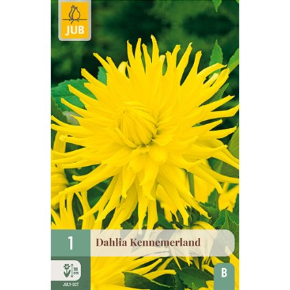 Jiřina KENNEMERLAND 1 ks