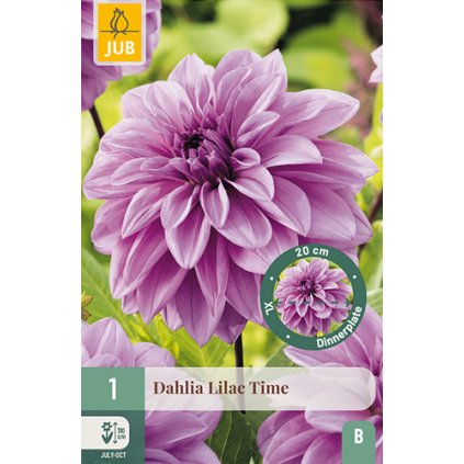 Jiřina LILAC TIME 1 ks