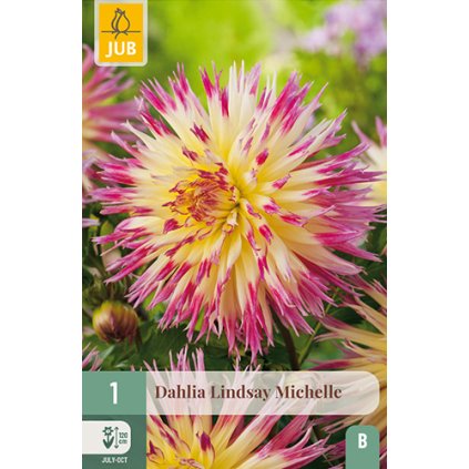 Jiřina LINDSAY MICHELLE 1 ks