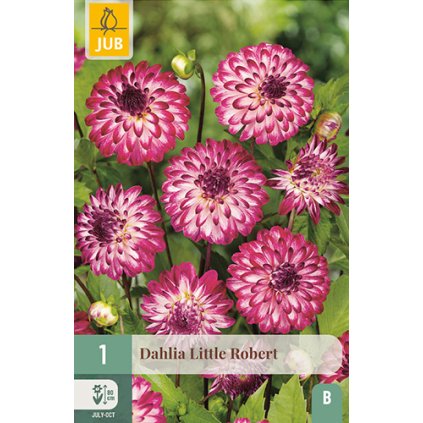 Jiřina LITTLE ROBERT 1 ks