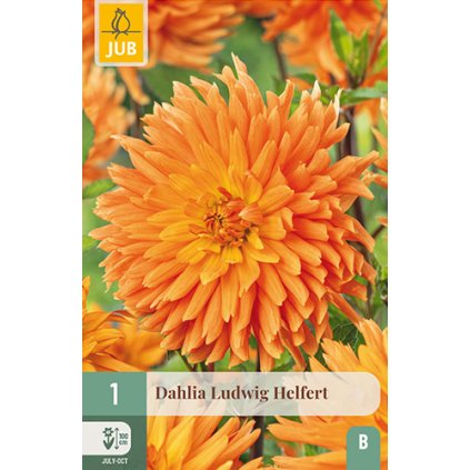 Jiřina LUDWIG HELFERT 1 ks