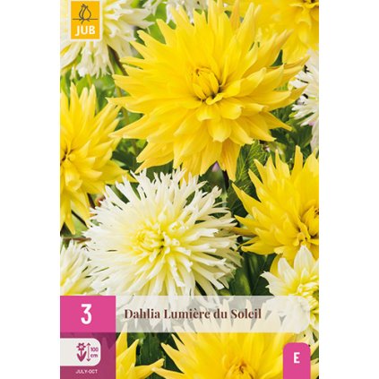 Jiřina LUMIÈRE DU SOLEIL 3X