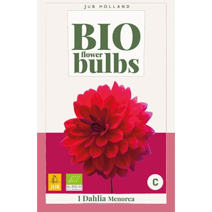 Jiřina MENORCA 1 ks