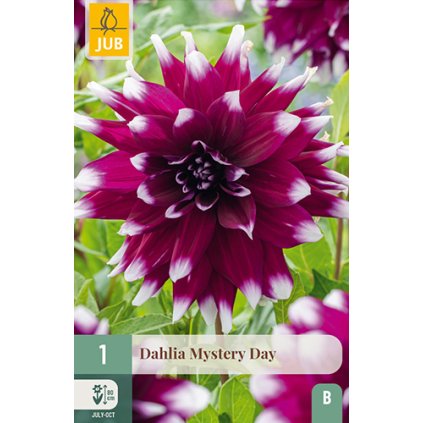 Jiřina MYSTERY DAY 1X