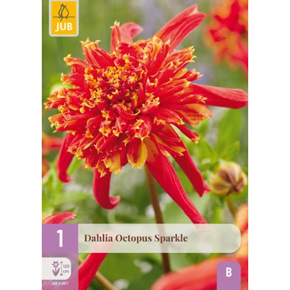 Jiřina OCTOPUS SPARKLE 1 ks