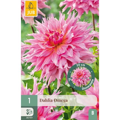 Jiřina OMEGA 1 ks