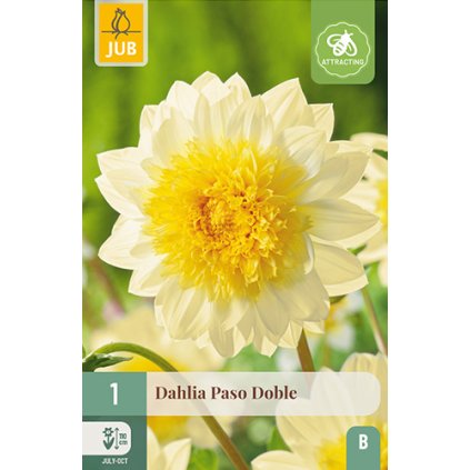 Jiřina PASO DOBLE 1 ks