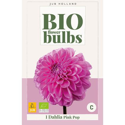 Jiřina PINK POP 1 ks