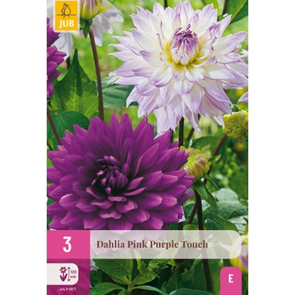 Jiřina PINK PURPLE TOUCH 3 ks