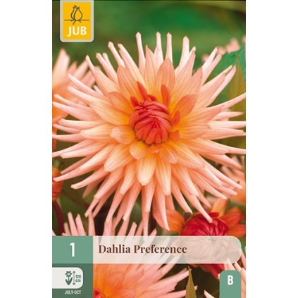 Jiřina PREFERENCE 1X