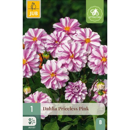 Jiřina PRICELESS PINK 1 ks