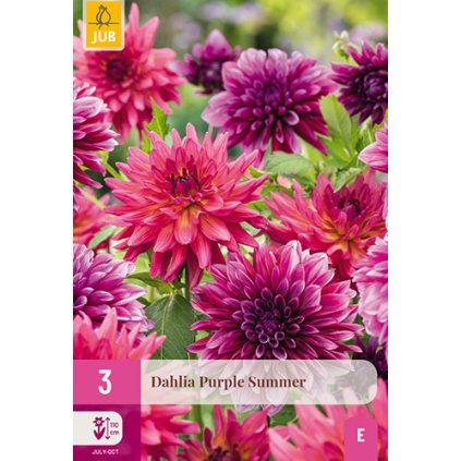 Jiřina PURPLE SUMMER 3 ks