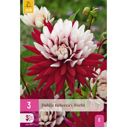 Jiřina REBECCA'S WORLD 3 ks