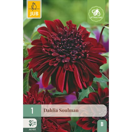 Jiřina SOULMAN 1 ks