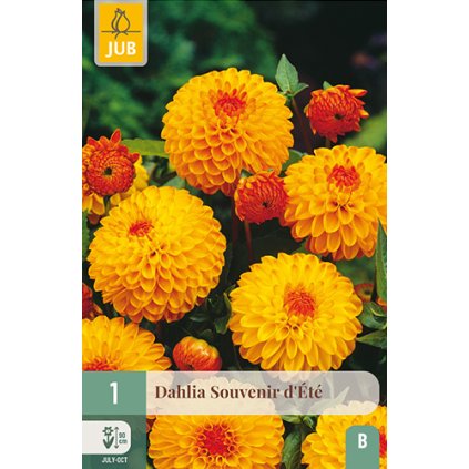 Jiřina SOUVENIR D'ETE 1X