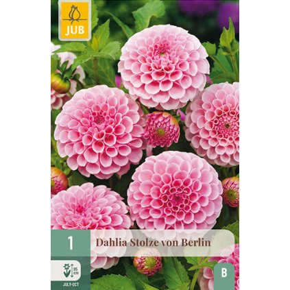 Jiřina STOLZE VON BERLIN 1 ks