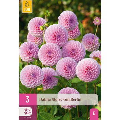 Jiřina STOLZE VON BERLIN 3X