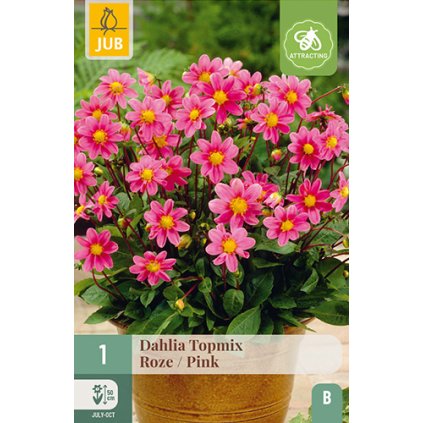 Jiřina TOPMIX PINK 1X