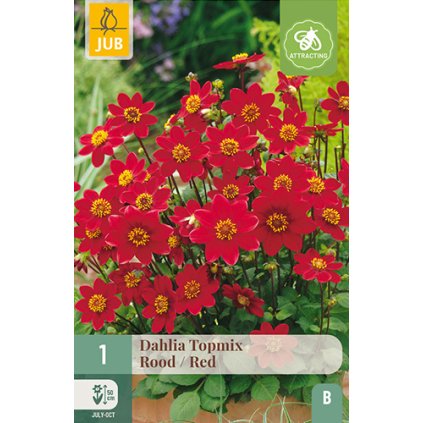 Jiřina TOPMIX RED 1X