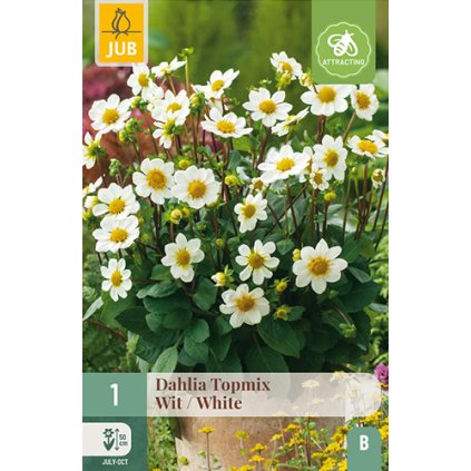 Jiřina TOPMIX WHITE 1X