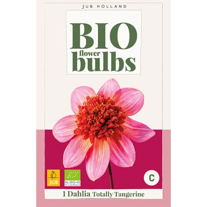 Jiřina TOTALLY TANGERINE 1X