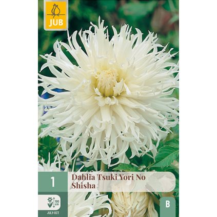 Jiřina TSUKI YORI NO SHISHA 1X