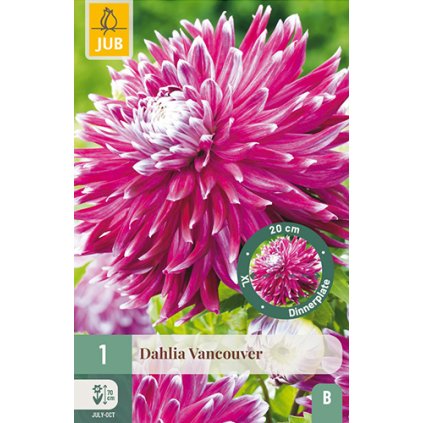 Jiřina VANCOUVER 1X