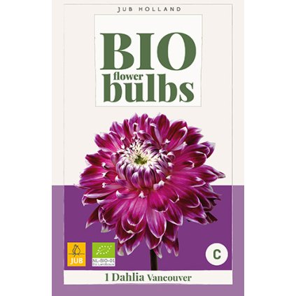 Jiřina VANCOUVER 1 ks