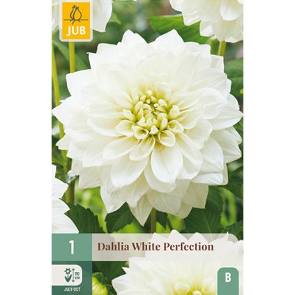 Jiřina WHITE PERFECTION 1X