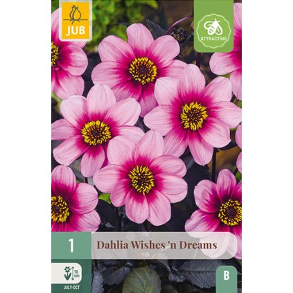 Jiřina WISHES 'N DREAMS 1 ks