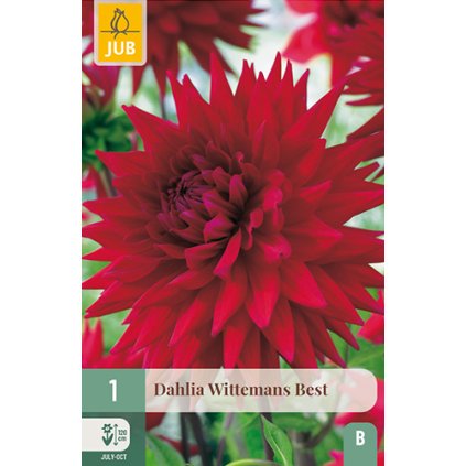 Jiřina WITTEMAN'S BEST 1X