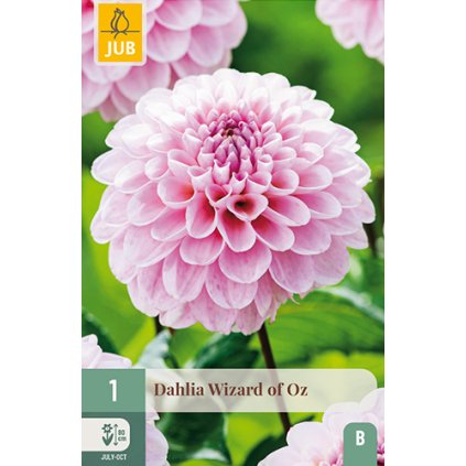 Jiřina WIZARD OF OZ 1X