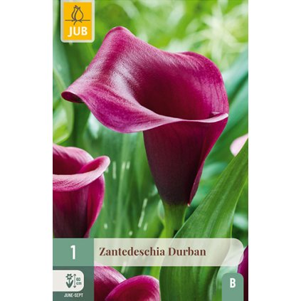Kala DURBAN 1X