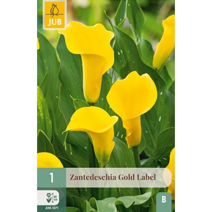 Kala GOLD LABEL 1 ks