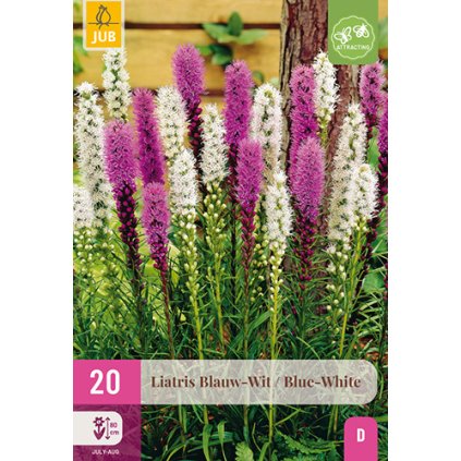 LIATRIS BLAUW - WIT / BLUE - WHITE 20X
