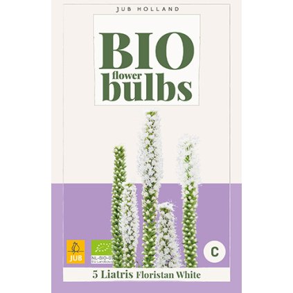 LIATRIS FLORISTAN WHITE 5X