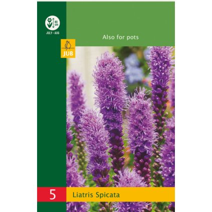 Šuškarda SPICATA 5X