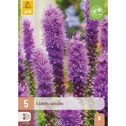 Šuškarda SPICATA 5X