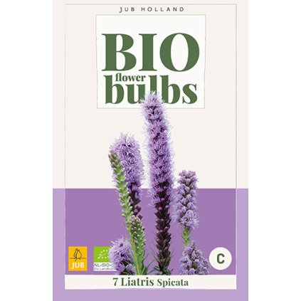LIATRIS SPICATA 7X
