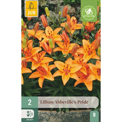 Lilie ABBEVILLE'S PRIDE 2 ks