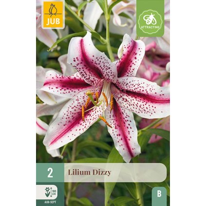 Lilie DIZZY 2 ks