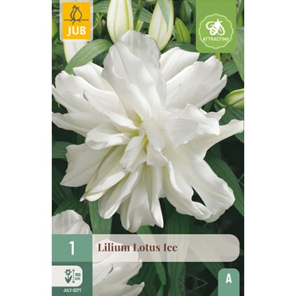 Lilie LOTUS ICE 1 ks