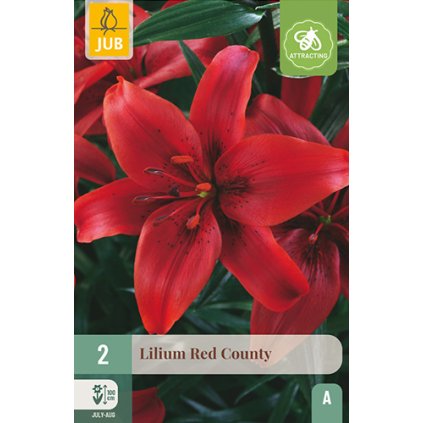 Lilie RED COUNTY 2 ks