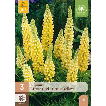 LUPINUS CREME YELLOW 3 ks